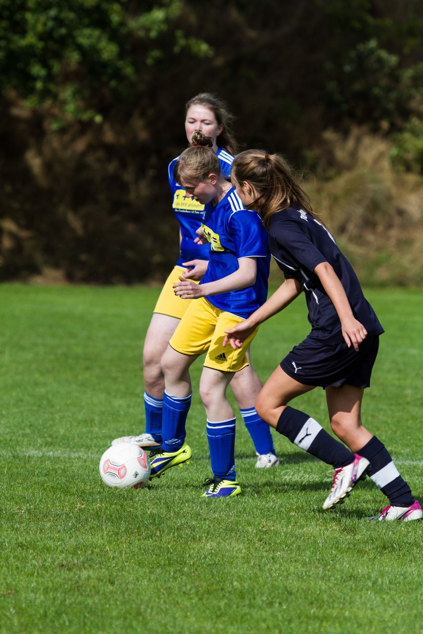 Bild 331 - Frauen TSV Gnutz - SG Slfeld/Oe/Se/Stu : Ergebnis: 2:3